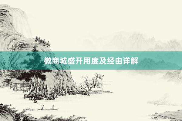 微商城盛开用度及经由详解
