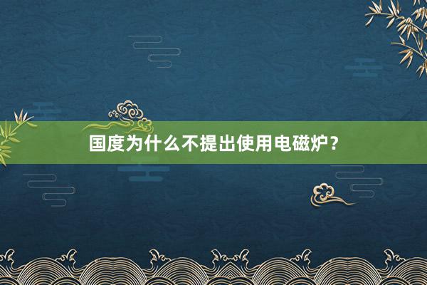 国度为什么不提出使用电磁炉？