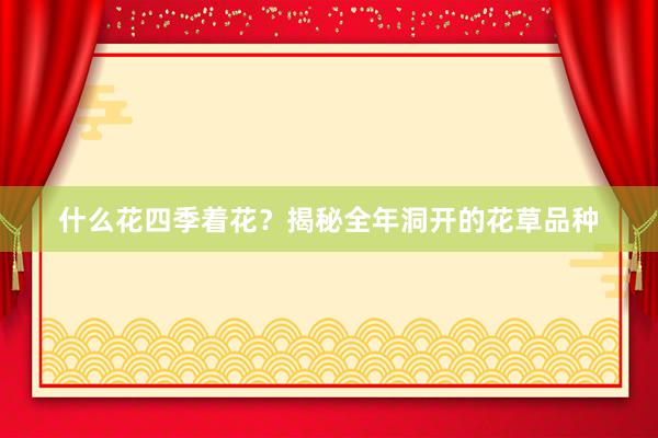 什么花四季着花？揭秘全年洞开的花草品种