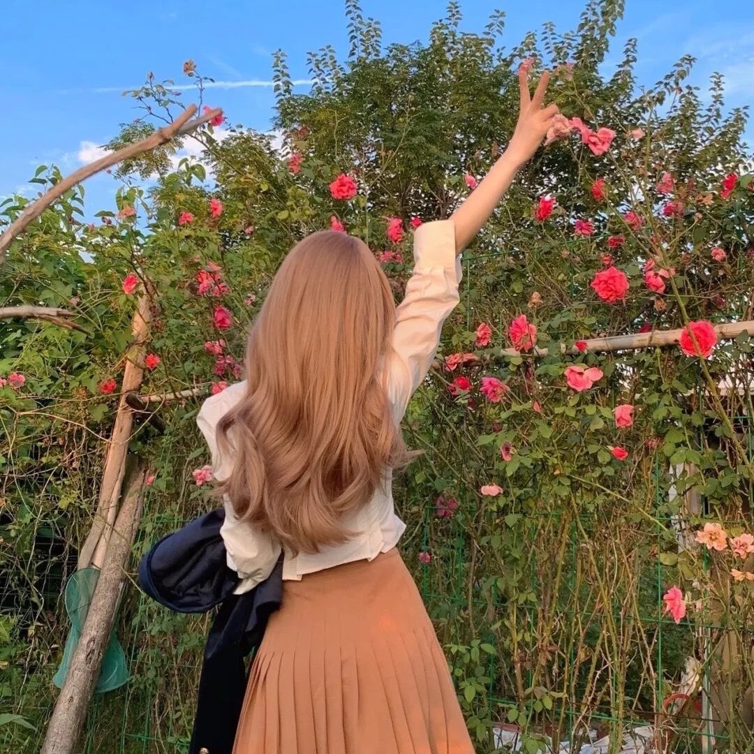 多伦多法律与秩序：犯罪倾向